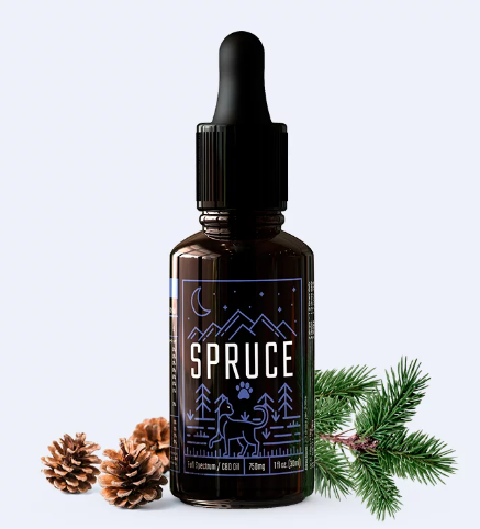 Spruce Cat CBD Oil - best cbd oil for cats